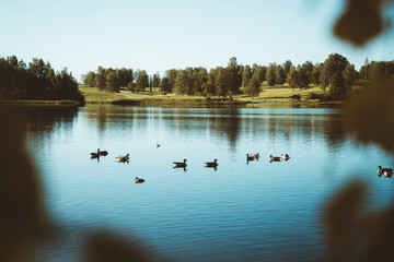 The Bogstadvannet lake in Oslo