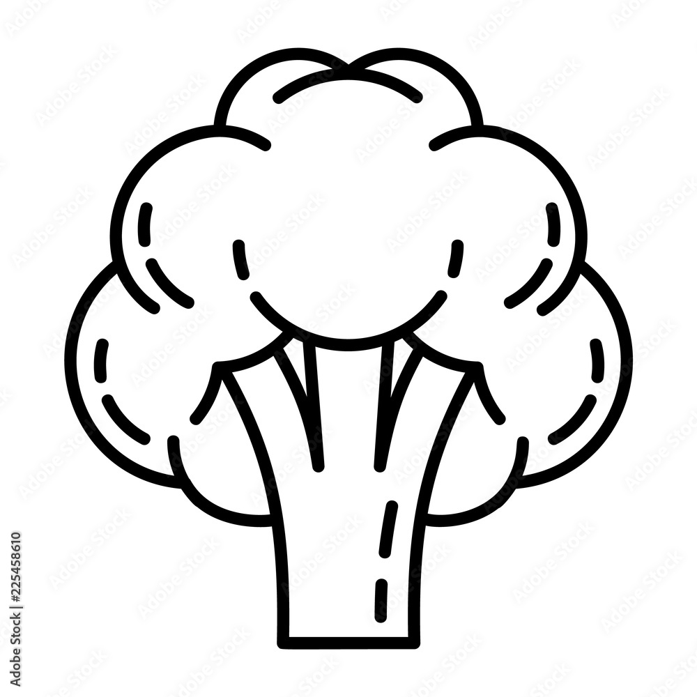 Poster broccoli icon. outline broccoli vector icon for web design isolated on white background