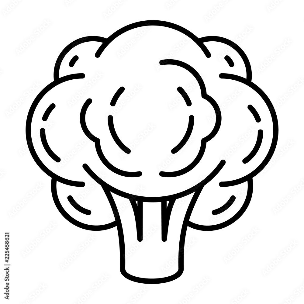 Poster eco broccoli icon. outline eco broccoli vector icon for web design isolated on white background