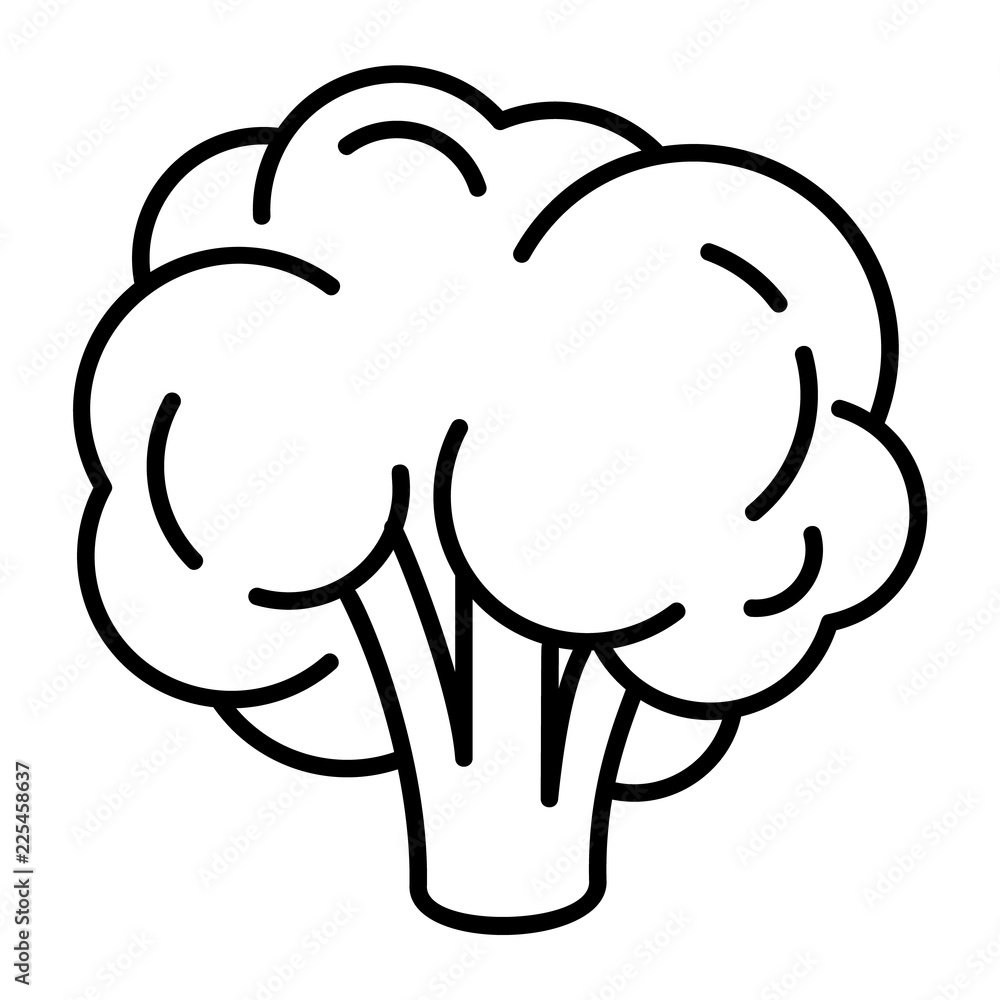 Poster natural broccoli icon. outline natural broccoli vector icon for web design isolated on white backgro