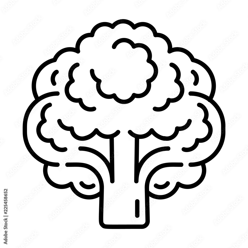 Poster vegan broccoli icon. outline vegan broccoli vector icon for web design isolated on white background
