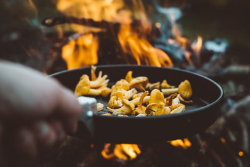 Frying chantarelle in the forest © NGA Film
