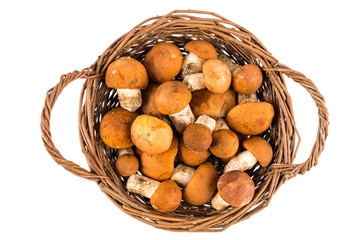Mushrooms boletus in a basket isolated on white background.