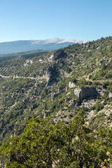 Landscape in the department of Vaucluse in Provence and the Mont Ventoux in the background. France