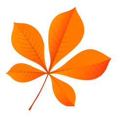 Fototapeta premium Chestnut leaf icon. Flat illustration of chestnut leaf vector icon for web design