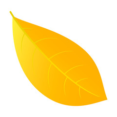 Yellow leaf icon. Flat illustration of yellow leaf vector icon for web design