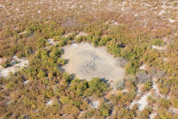 Okavango Delta, Botswana