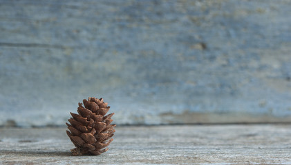 A pine cone on a wooden table.