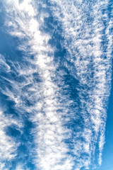 Vertical view of stray of clouds in the blue sky
