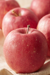 麻布にノーブランドのリンゴ