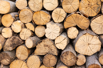 Fototapeta premium Stack of firewood