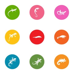Viviparous lizard icons set. Flat set of 9 viviparous lizard vector icons for web isolated on white background