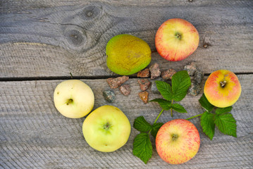 layout on a wooden background, apples, pears, small gravel stones, raspberry leaves