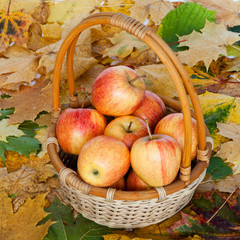 Red and yellow apples in a basket on a background of autumn leaves