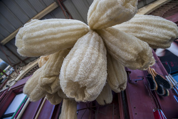 Loofah in the market