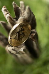 Fototapeta premium bitcoin coin lies on an old tree among the green grass
