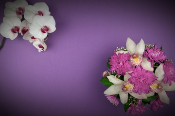 Flower Greeting Card.Orchid and Asters.Violet background