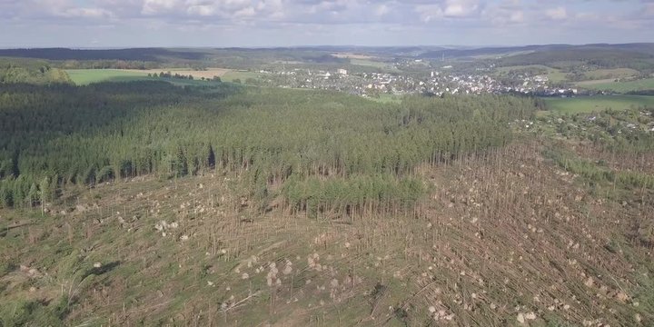 Sturmschaden, Wirbelsturm &uuml;ber Wald schnei&szlig;e Verw&uuml;stung Naturgewalt