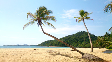 Beach scene with a swing on a palm tree