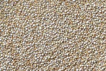 Quinoa: top view