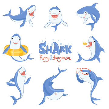 Shark cute animal. Fish attack playing hungry and happy ocean sea shark with big teeth scary blue vector characters. Illustration of shark ocean, fish predator underwater