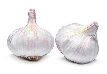 Beautiful fresh garlic. Group of objects or cooking ingredients, isolated on white background. Closeup shot, top view.