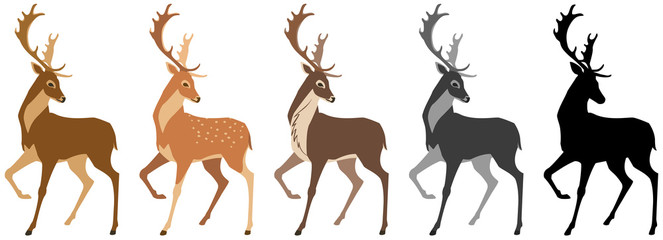 Obraz premium zestaw jeleni. Jeleń, jeleń cętkowany, renifer, sylwetka czarno-biała. Pojedyncze obiekty, wietrzna ilustracja.