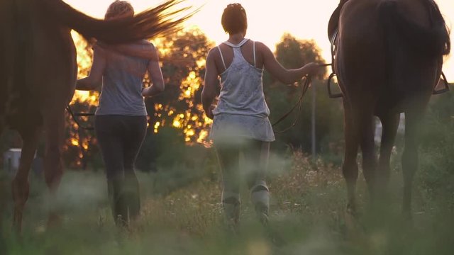 Two girls are driving two horses on a field road