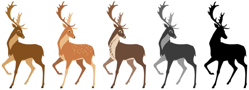 set of deer. Deer, spotted deer, reindeer, black and white silhouette. Isolated objects, windy illustration.