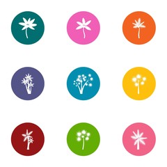 Florescence icons set. Flat set of 9 florescence vector icons for web isolated on white background