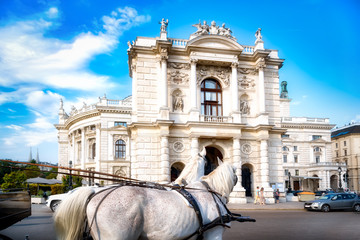 Naklejka premium Burgtheater w Wiedniu z końmi na pierwszym planie