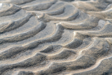 Sea floor at low tide with wave pattern