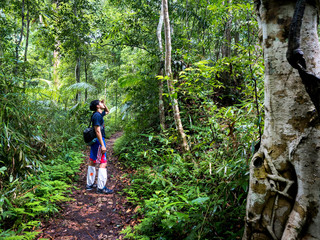 Traveler hiking through deep forest in the mountainsat in Khao Yai National park Thailand