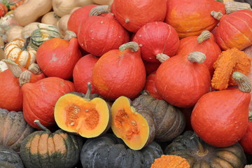 Autumn gifts. Vegetables at the autumn fair in Riga. Agricultural products and healthy food.