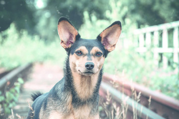 Lina © Mabelle Photography