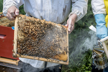beekeeper