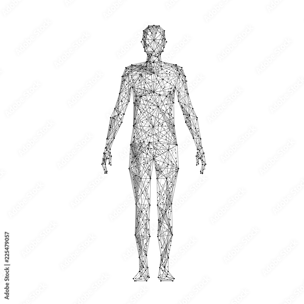 Leinwandbilder human body. isolated black vector illustration in low-poly style on a white background. the drawing 