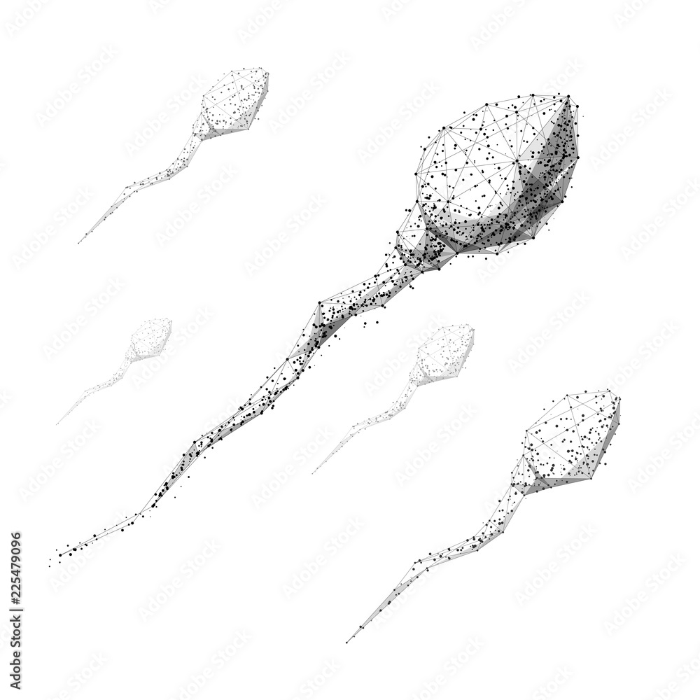 Poster Spermatozoon. Isolated black vector illustration in low-poly style on a white background. The drawing consists of thin lines and dots. Polygonal image on topics of science or health. Low poly EPS.