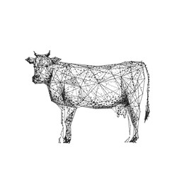 Cow. Cattle. Isolated black vector illustration in low-poly style on a white background. The drawing consists of thin lines and dots. Polygonal image on topics of animals or food. Low poly EPS.