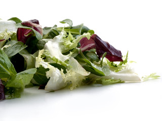 Detalle closeup de lechugas italiana y escarola 2