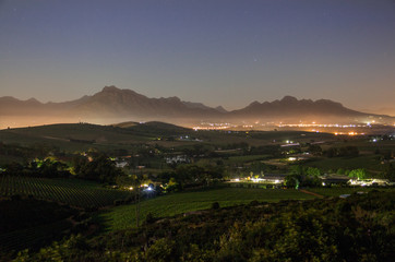 Vineyards Stellenbosch South Africa