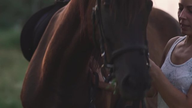 Girl is stroking the horse