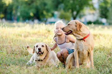 Little blonde girl playing with two labradors in the park.