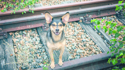 Lina © Mabelle Photography