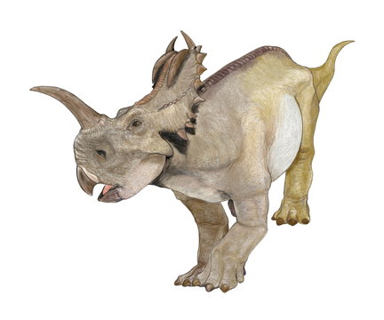 恐竜　セントロサウルス。白亜紀後期のカナダからアメリカに生息していた角竜。鼻の上に大きくて長い角があり眼の上には角とは呼べない程度の盛り上がりがあった。この角竜の種類は鼻の上の角が一本なのが特徴。また、のちには角ではなく、瘤のような塊りを持った角竜も派生している。イラスト画像。