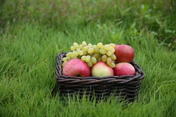 fresh apples in a basket on green grass