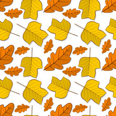 Fototapeta na wymiar Seamless pattern with oak and tulip poplar autumn leaves. Vector illustration.