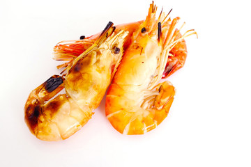 Grilled prawns on white background.