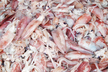 Fresh squid on the seafood market