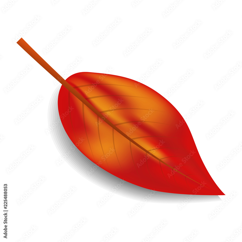 Aufkleber red autumn leaf icon. realistic illustration of red autumn leaf vector icon for web design isolated 